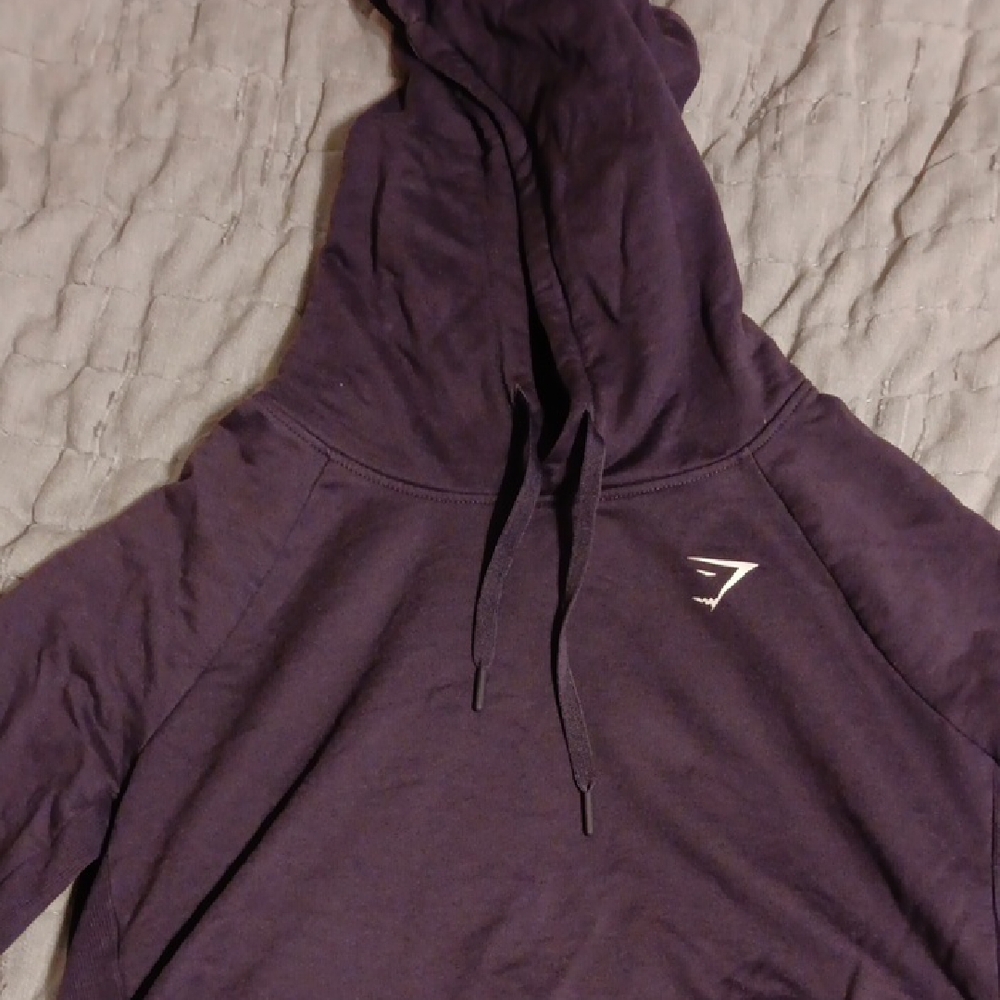 Purple Hoodie with Logo